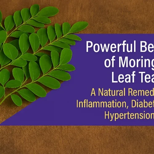 Powerful Benefits of Moringa Leaf Tea : A Natural Remedy for Inflammation, Diabetes, and Hypertension