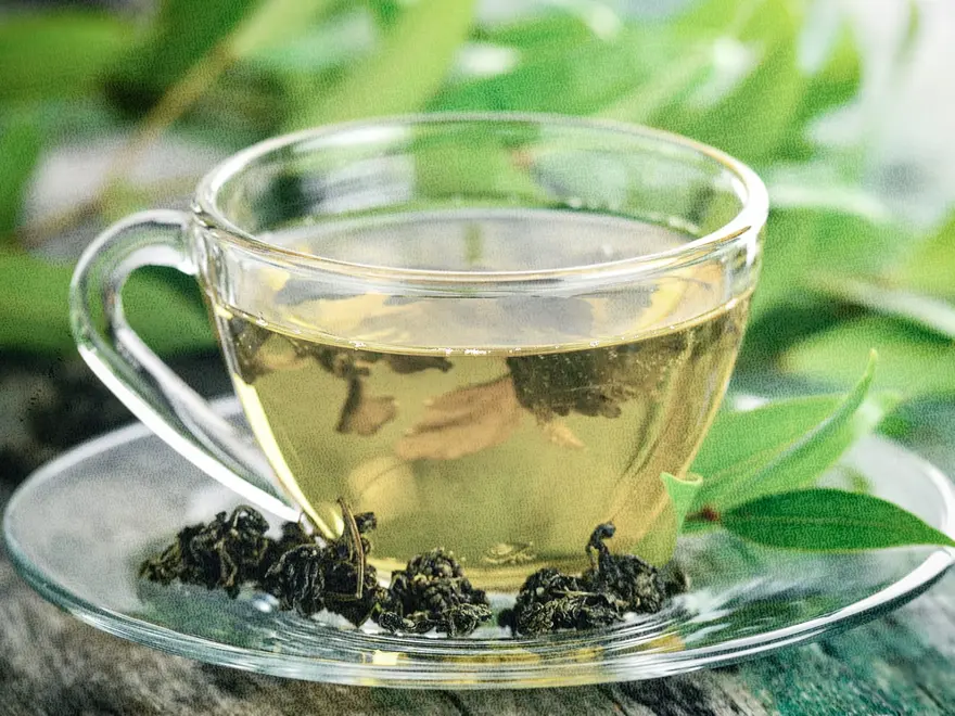 Moringa vs green tea