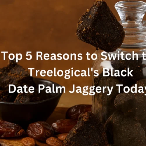Top 5 Reasons to Switch to Treelogical’s Black Date Palm Jaggery Today