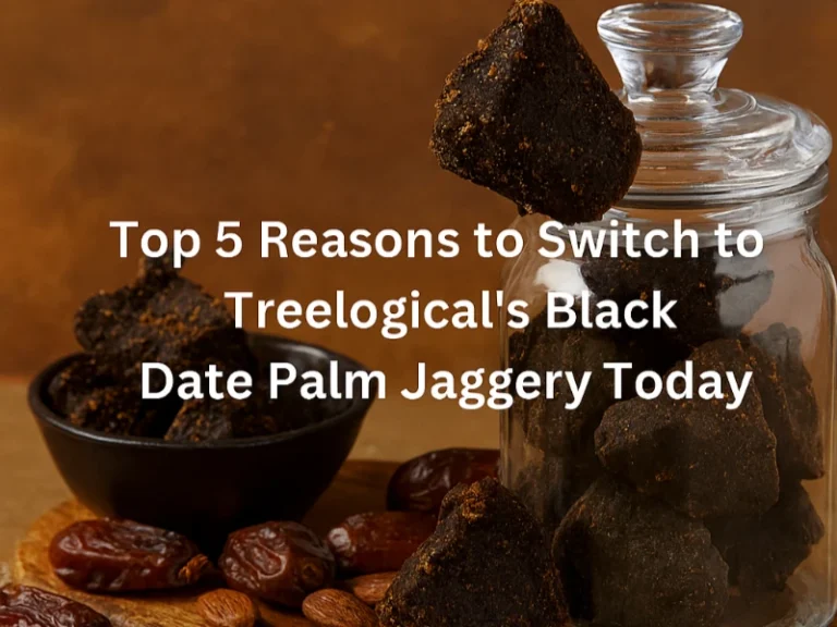 Read more about the article Top 5 Reasons to Switch to Treelogical’s Black Date Palm Jaggery Today